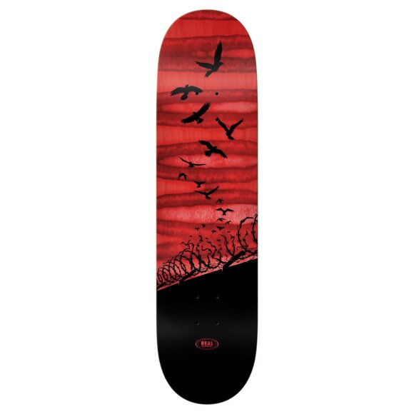 Real - Real Set Free Spectrum Skateboard